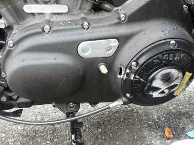 Harley-Davidson Roadster XL1200CX 2017