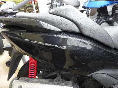 Honda Forza SI 2016