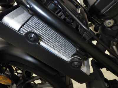 Honda CL250 2023