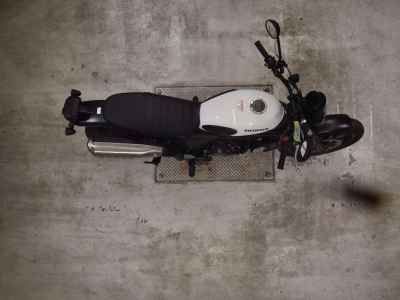 Honda CL250 2023