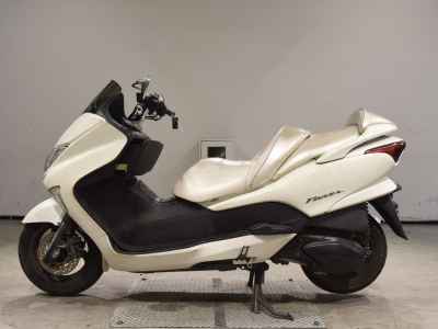 Honda Forza Z 2005