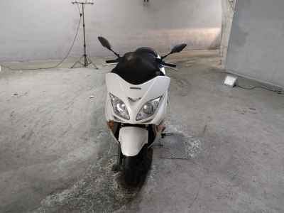 Honda Forza Z 2005