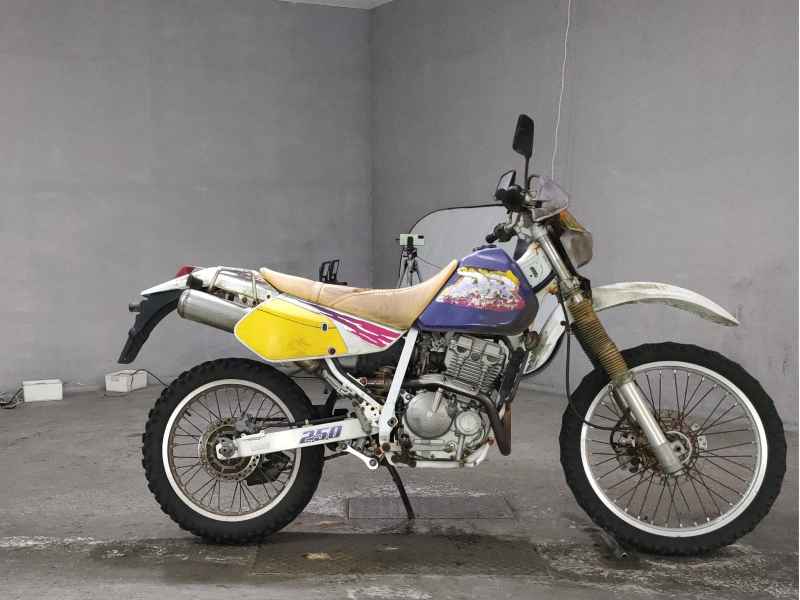 Suzuki DR250R