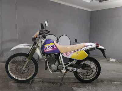 Suzuki DR250R