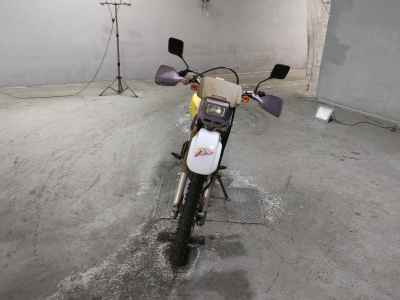 Suzuki DR250R