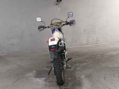 Suzuki DR250R