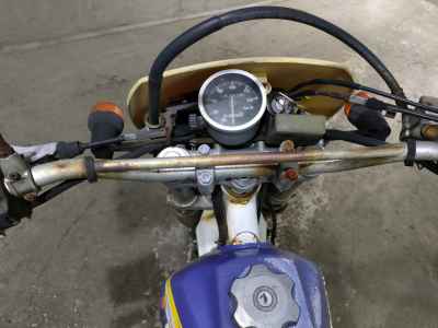 Suzuki DR250R