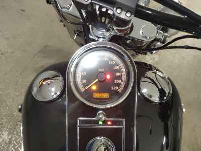 Harley-Davidson Deluxe FLSTN1580 2014