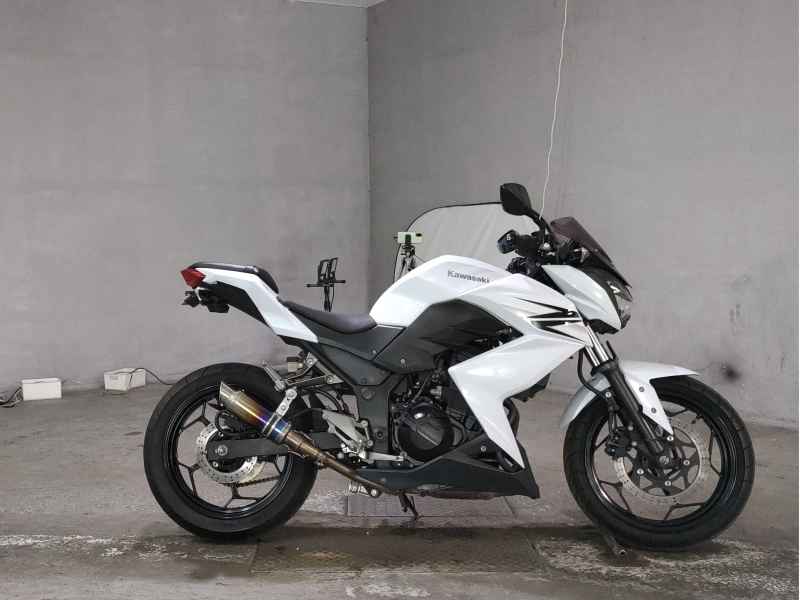 Kawasaki Z250 2013