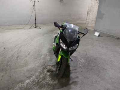 Kawasaki Ninja 1000 2011