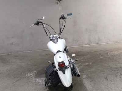 Yamaha XVS250 Drag Star 2005