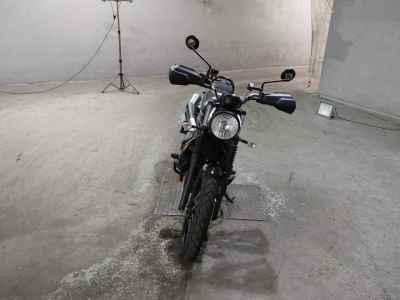 Triumph Street Scrambler 2019