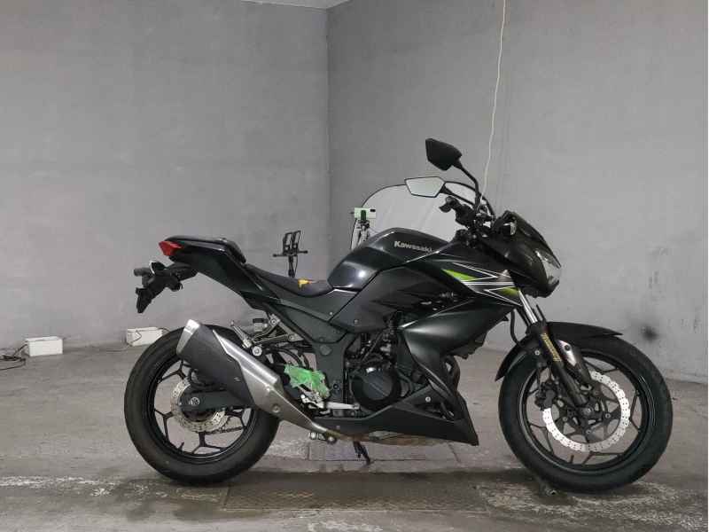 Kawasaki Z250 2013