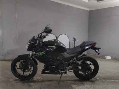 Kawasaki Z250 2013