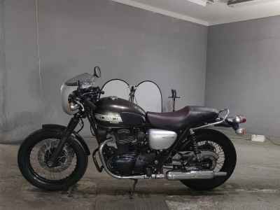 Kawasaki W800 2019