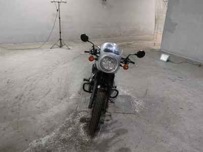 Kawasaki W800 2019