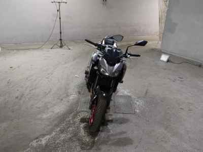Kawasaki Z900 2019