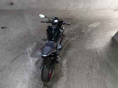 Kawasaki Z900 2019
