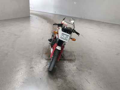 Yamaha SRX250