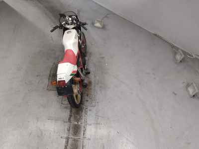 Yamaha SRX250