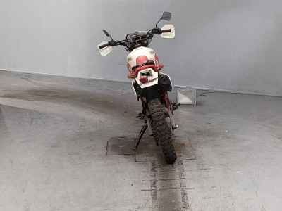 Yamaha TT250