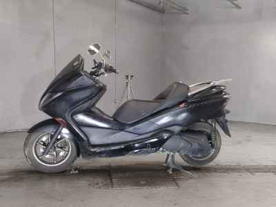 Honda Forza Z 2010