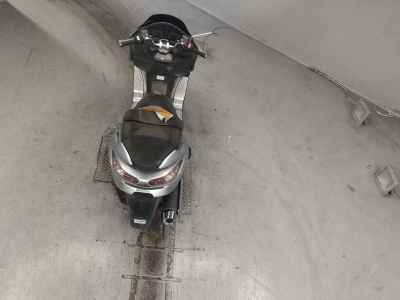 Honda Forza Z 2006