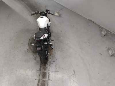 Suzuki GSX250R