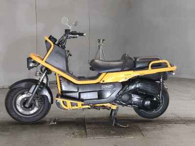 Honda PS250 Big Ruckus 2005