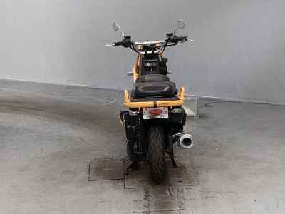 Honda PS250 Big Ruckus 2005