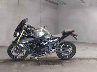 Kawasaki Ninja 250 2015