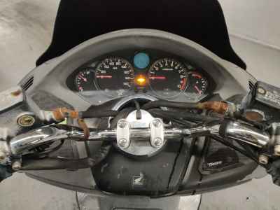 Honda Forza Z 2006