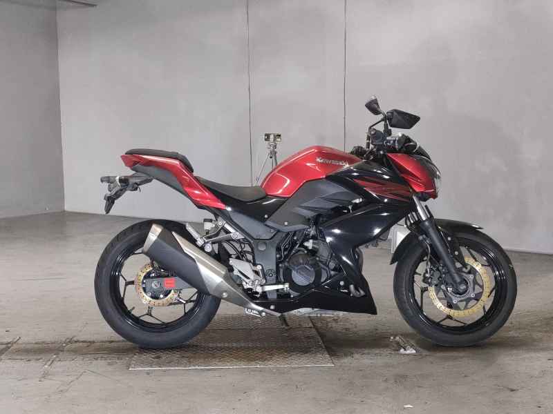 Kawasaki Z250 2017