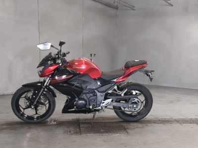 Kawasaki Z250 2017