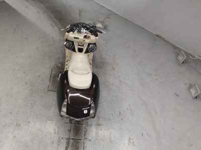 Yamaha Maxam 250