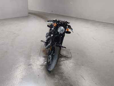 Harley-Davidson Roadster XL1200CX 2017