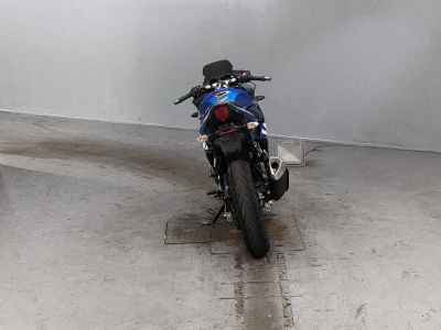 Suzuki GSX250R