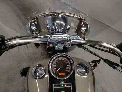 Harley-Davidson FLSTN1580 2013