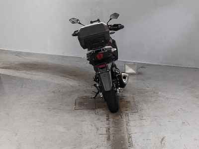 Suzuki V-Strom 250 2022