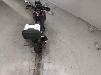 Suzuki V-Strom 250 2022