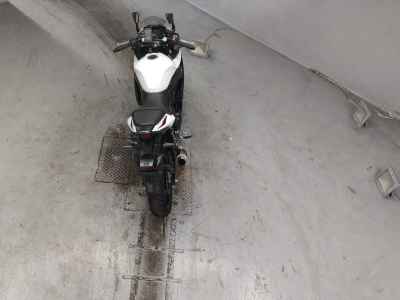 Suzuki GSX250R 2021