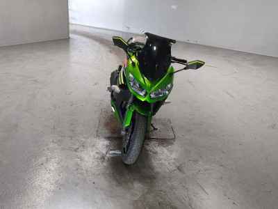 Kawasaki Ninja 1000 2012