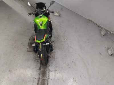 Kawasaki Ninja 1000 2012