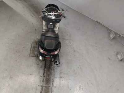 Honda Forza Z 2007