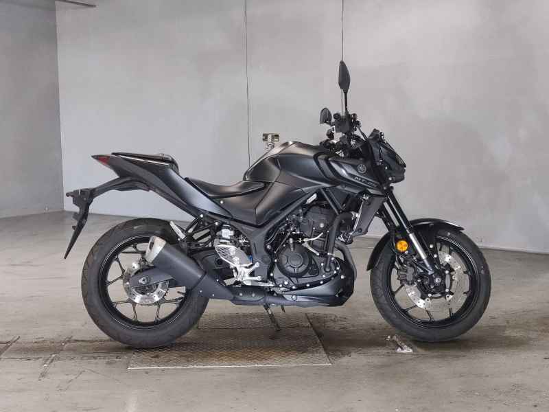 Yamaha MT-25 2022