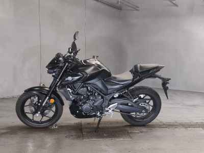 Yamaha MT-25 2022