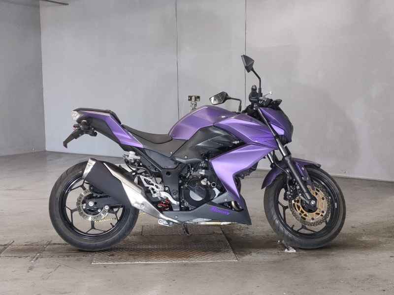 Kawasaki Z250 2013