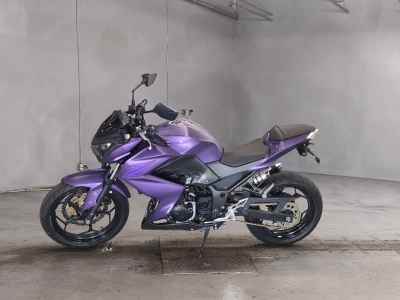 Kawasaki Z250 2013