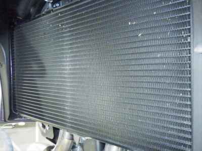 Honda NT1100 2024