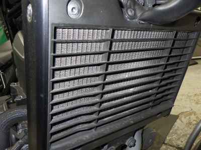 Honda Rebel CMX1100 2021